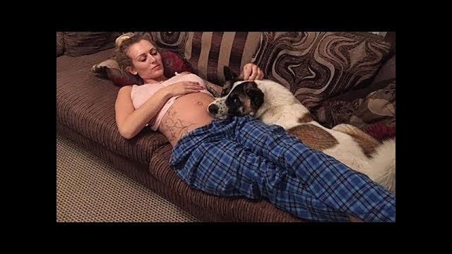 Беременная девушка взволнована поведением своей собаки