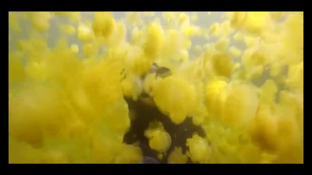 PIKA CUBE #14 Новогодний Нарезка Приколов Coub Best Fails Кубы