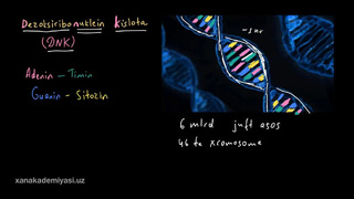 41 DNK | Uglerodning xususiyatlari | Biologiya | Khan Academy Oʻzbek