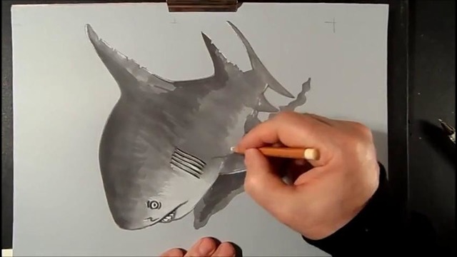 3D иллюстрация Серой Акулы