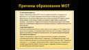 Спецкурс тема 7