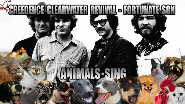 Creedence Clearwater Revival – Fortunate Son (Animal Cover)