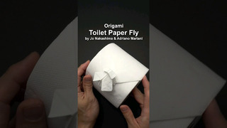 Origami Toilet Paper Fly #shorts