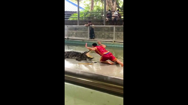 Man Kisses Alligator | People Are Awesome #shorts