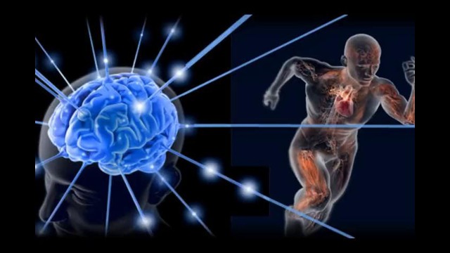 Лень-это защитная реакция организма