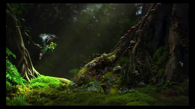 Nat Geo Wild