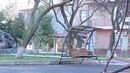 Ботаника санаторияси