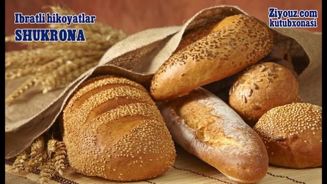 Shukrona | Шукрона