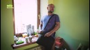 Животные, на которых похожи твои коллеги
