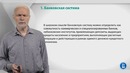 Лекция 1 Банковская система