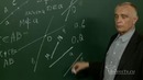 02. Прямая и отрезок