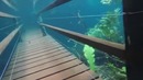Gifs With Sound #7 ( Best Of 2018 )