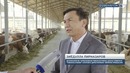 Чорвачилик йўналишидаги муҳим ислоҳотлар