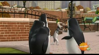 Пингвины из Мадагаскара. Отцовский инстинкт – 1 сезон 5 серия