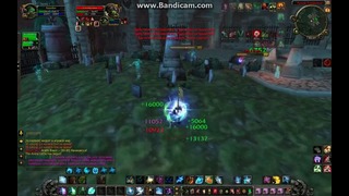 World of Warcraft | rdruid – awarrior v.s. awarrior – rogue | pandawow 5.4.8 x10