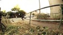 David Gonzales