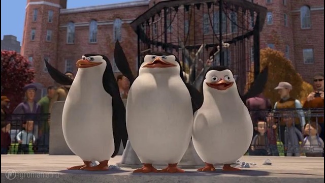 Пингвины Мадагаскар – веселый мультфильм (Обзор)