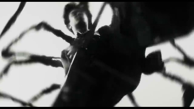 Thornhill – TONGUES (Official Music Video 2025)