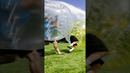 Zorb Soccer