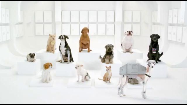 Собаки исполняют саундтрек Star Wars – замечательный ролик от Volkswagen