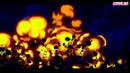 5 Французских Мультсериалов лучше Ледибаг