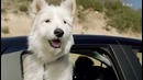 7 КРЕАТИВНЫХ и смешных автомобильных реклам