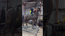 Amazing Metal Art That Is At Another Level