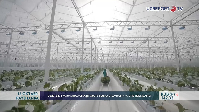 2029-yil 1-yanvargacha ijtimoiy soliq stavkasi 1 % etib belgilandi