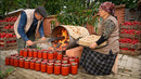 Village Style Chicken Skewers with Lavash & Chili Sauce
