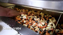 42 Foods You Need To Eat Before You Die The Ultimate List