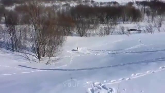 ЛУЧШИЕ ПРИКОЛЫ 2017 ЯНВАРЬ – Лучшая Подборка Приколов #254