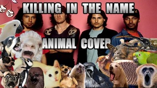 Rage Against The Machine – Killing In The Name (Animal Cover)