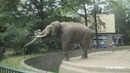 Best Fails of the Week 3 September 2012