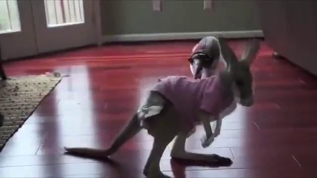 Лучшее в Coube #5