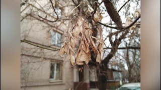 Nokia 6, привет и пока