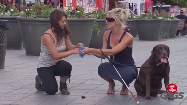 Новые серии Just for Laughs Gags 2015