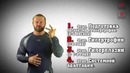 За сколько я смогу накачаться