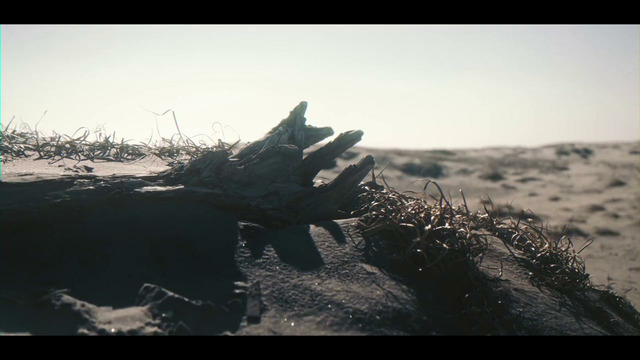 DIAURA – Ephemeral (Official Music Video 2025)