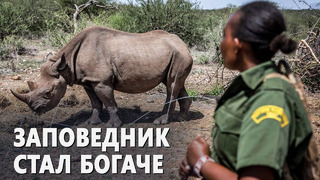 Более 20 редких носорогов переехали в новый дом в Кении