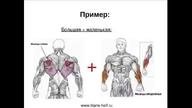 5 Выбор мышц Что, с чем и когда качать – YouTube 2