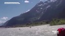 В Канаде медведь Гризли принял каякера за добычу и попытался его догнать