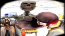 Pewdiepie – i’m dissecting a frog