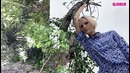 Самые модные летние образы с цветочным принтом