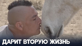 Серб 12 лет спасает лошадей от усыпления