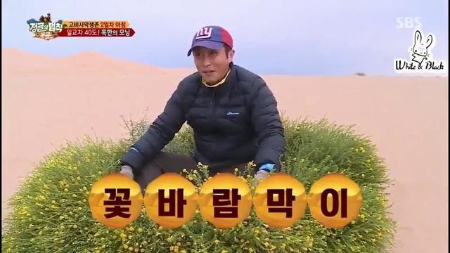 Law of the Jungle in Mongolia – Ep.230 [рус. саб] (2)