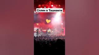 Концерт Сплин в Ташкенте – Моё сердце #shorts