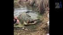 Лучшие приколы 2018 [Fun Army] Апрель