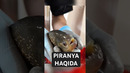 Piranya balig‘i #baliq #faktlar #piranya