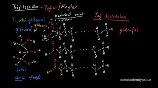 38 Triglitserid (yogʻ)larning molekulyar tuzilishi | Uglerodning xususiyatlari | Biologiya