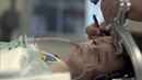BBC. Внутри человеческого тела (3 из 4)